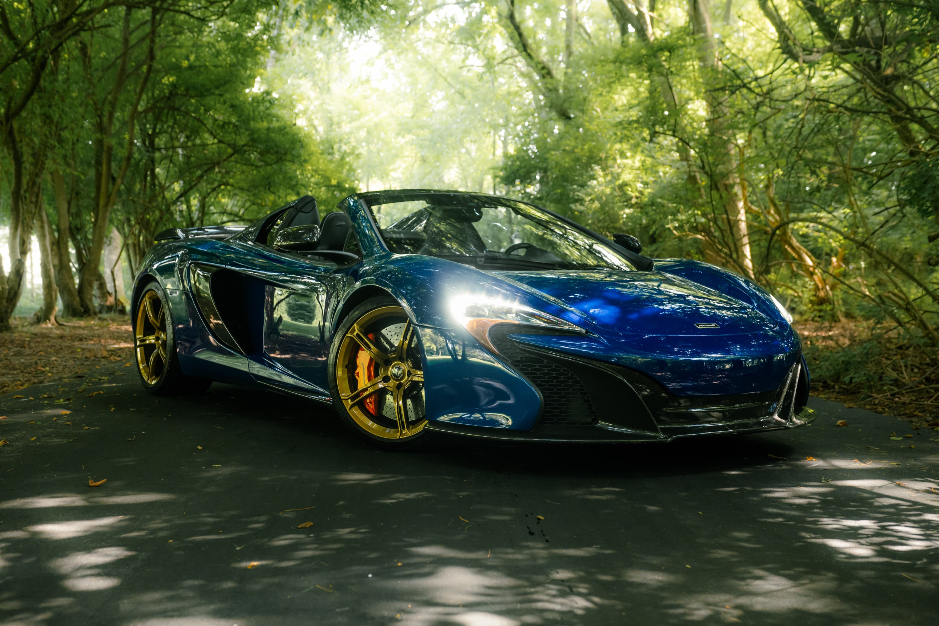 2016 McLaren 650S - Photo 1