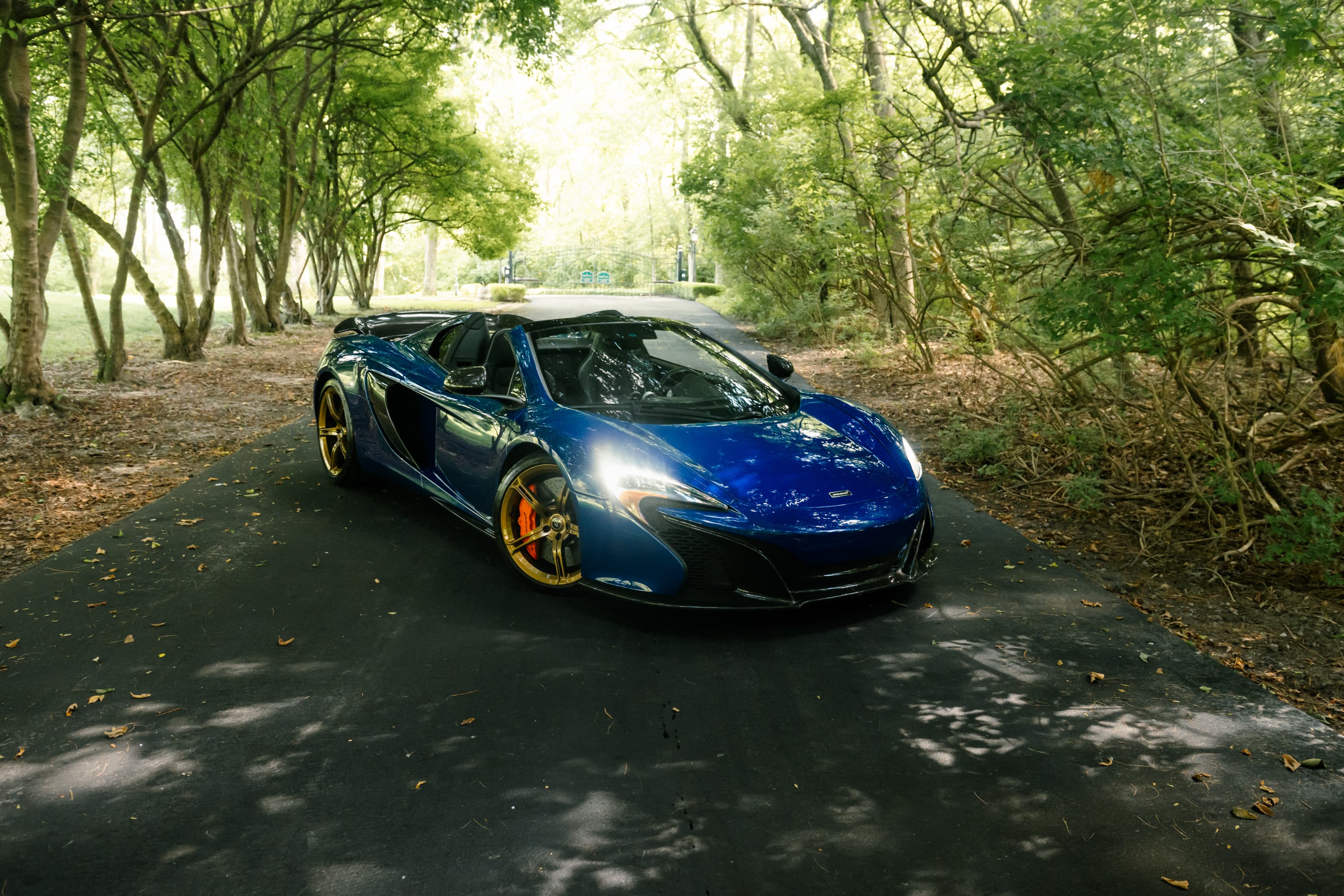 2016 McLaren 650S - Photo 2